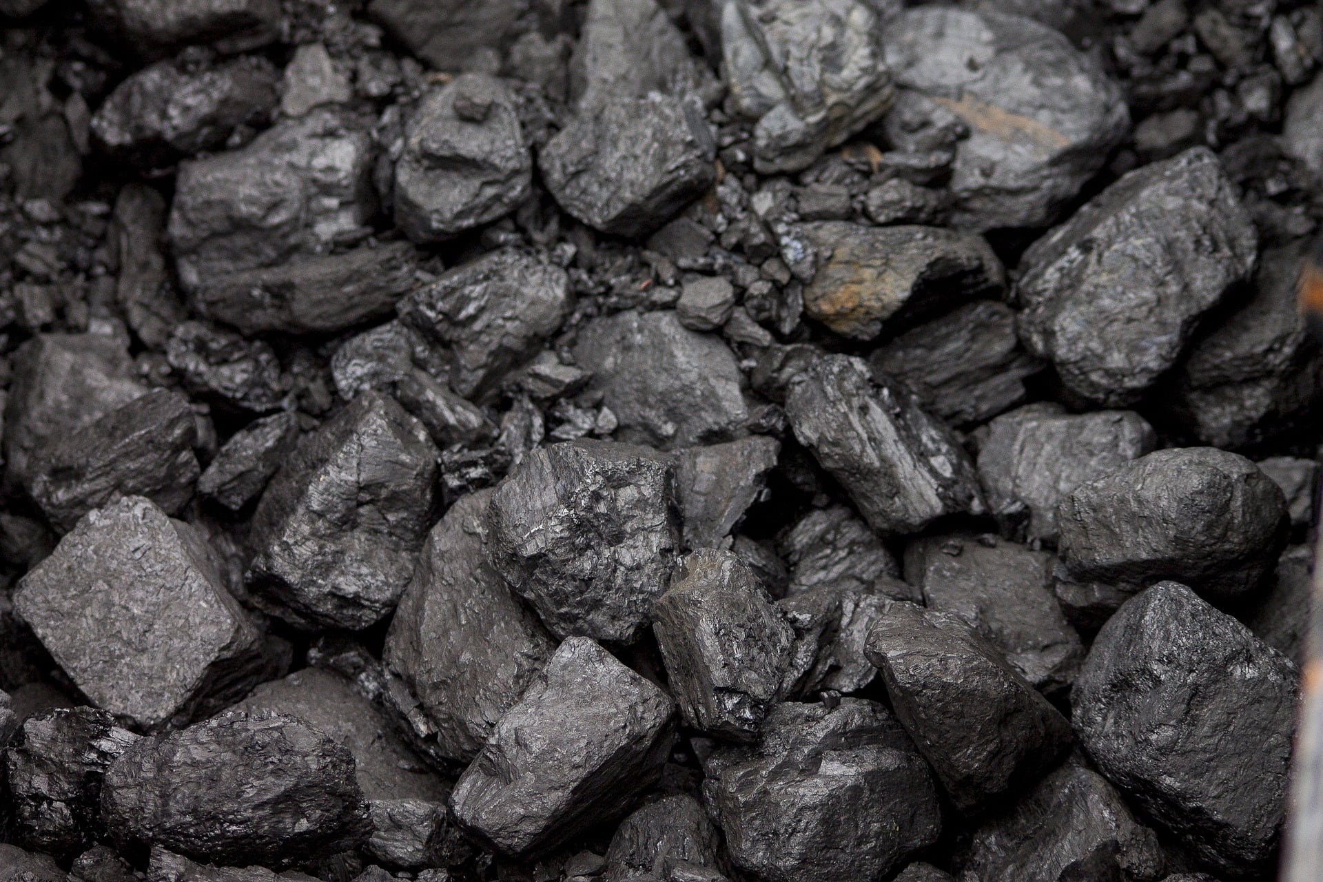 jak kupić węgiel od samorządu